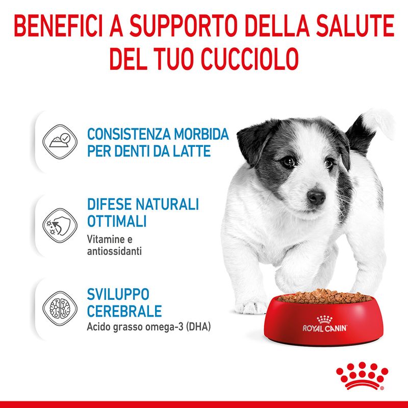 12x85g Royal Canin Mini Puppy - Cibo Umido per Cani Cuccioli 12x85g Royal Canin Mini Puppy - Cibo Umido per Cani Cuccioli